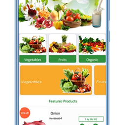 grocery app development company in delhi india